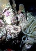 Bonaire 23